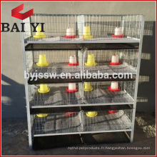 H Type 4 Cage Poulet Cage / Brooder / Day Old poulet Cages à vendre